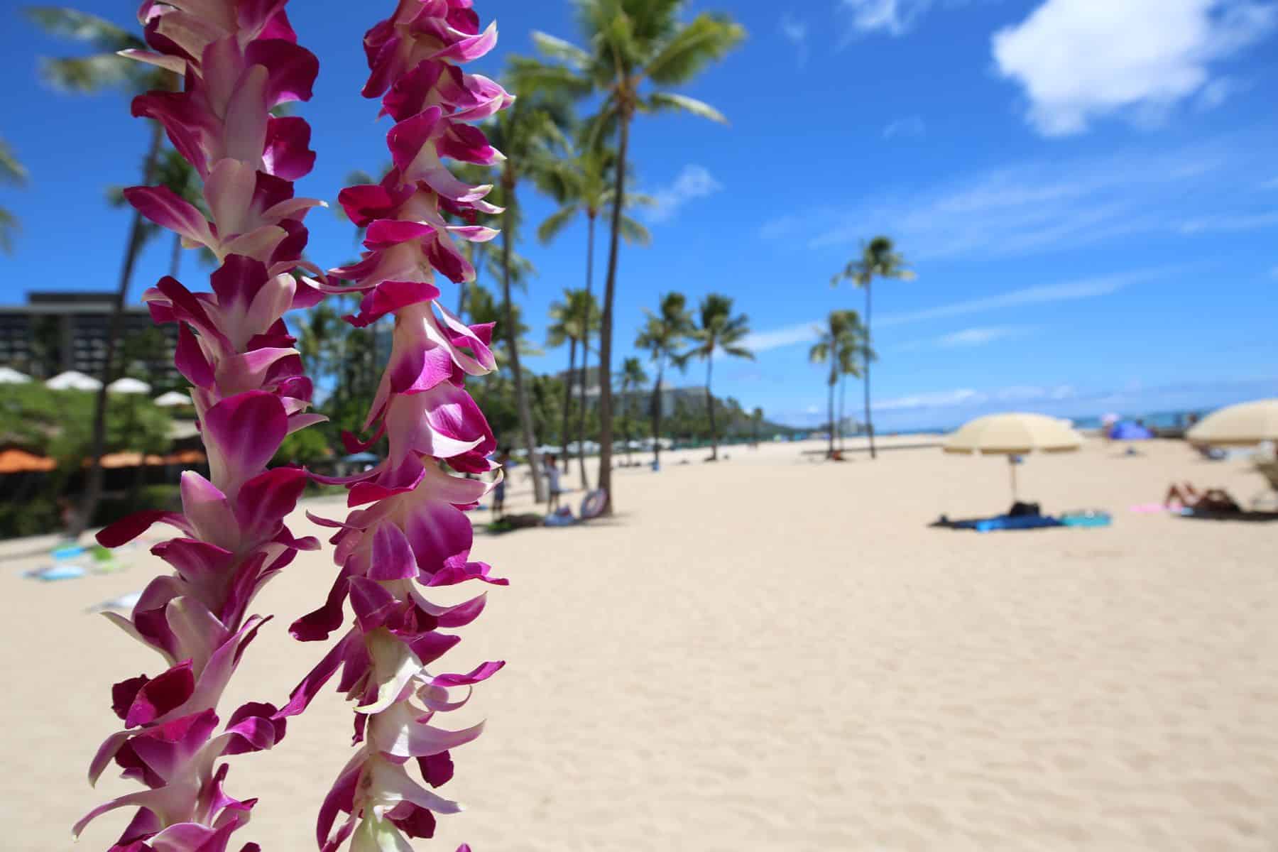 Prepping the environment for Aloha