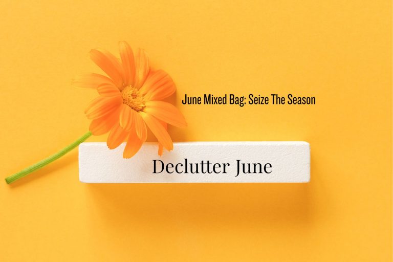 Seize the summer season