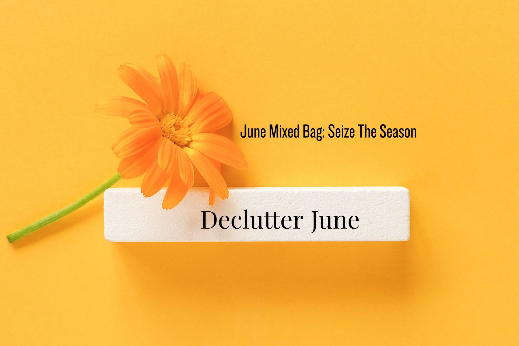 Seize the summer season
