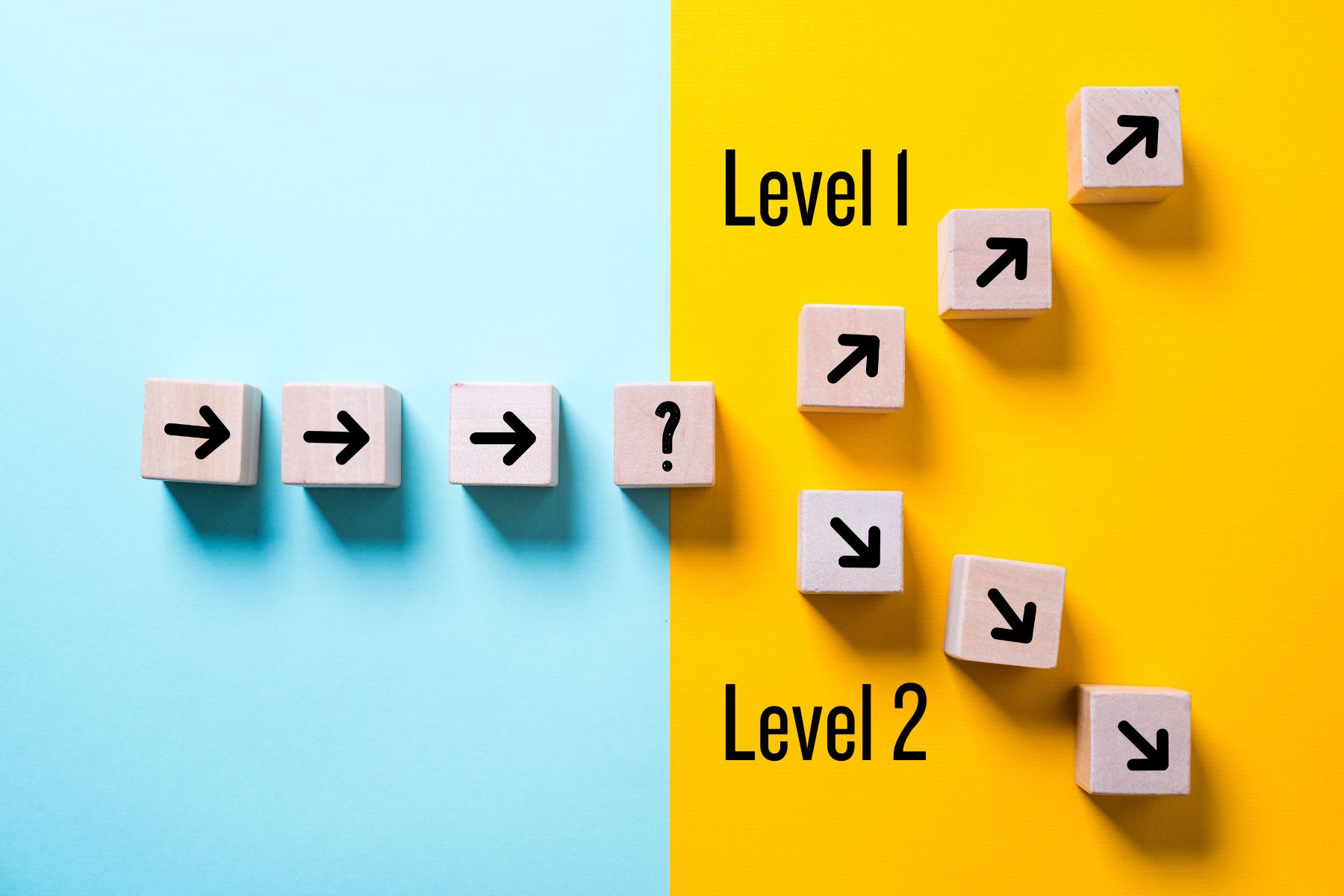 Level 1 and Level 2 decisions