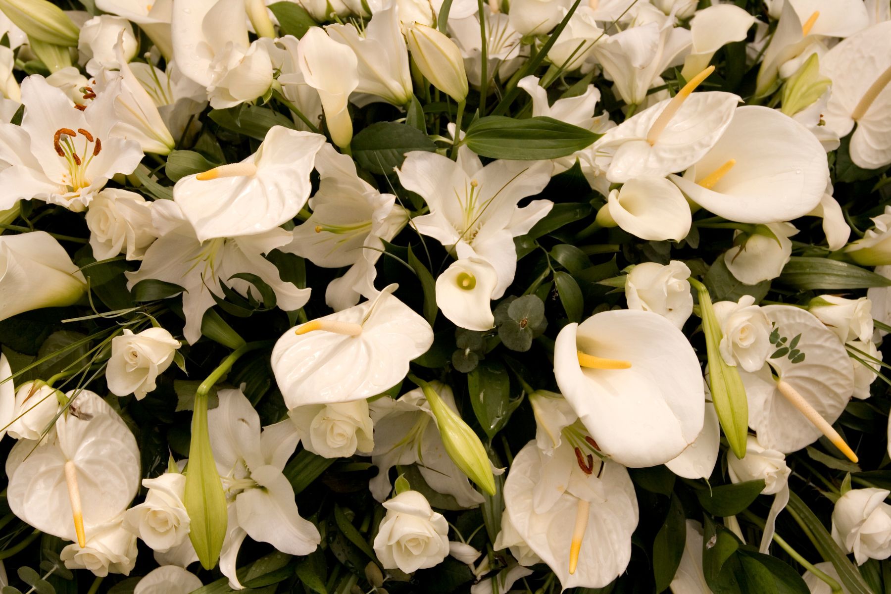 Funeral Flowers